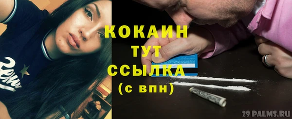 молекула духа Абинск